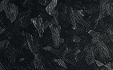 Forged Carbon